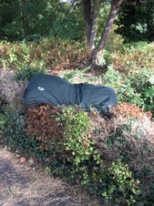 Sleeping bag in a bush
